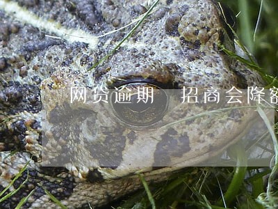 网贷逾期 招商会降额 网贷逾期 招商会降额